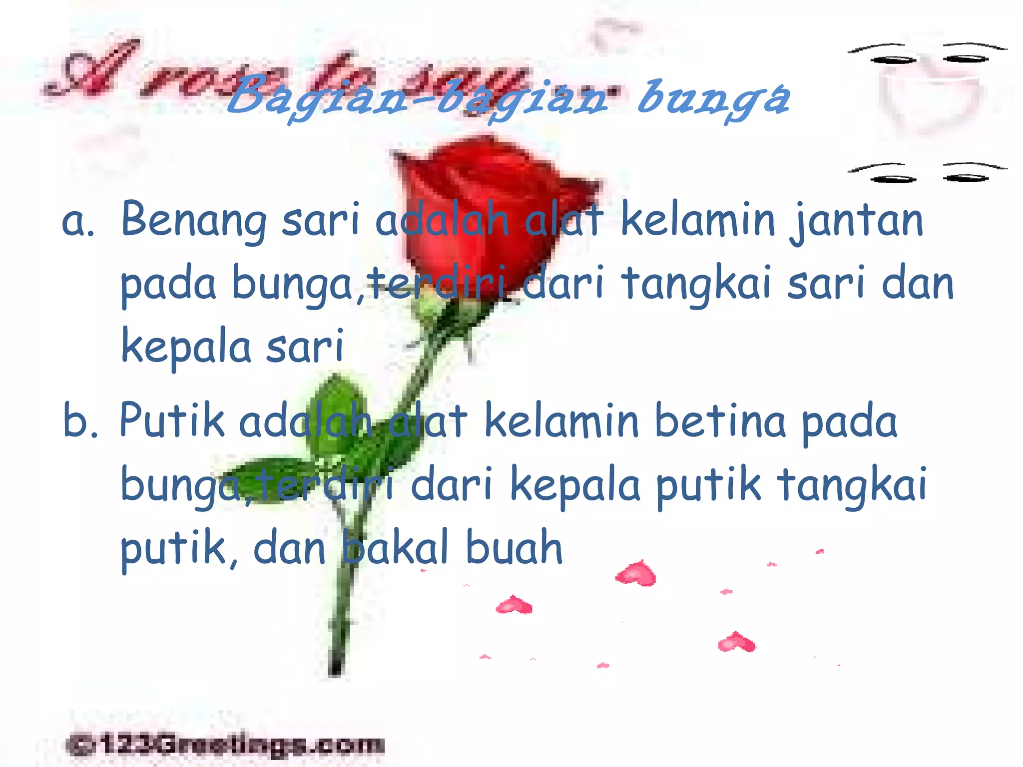 Bagian-bagian bunga Benang sari adalah alat kelamin jantan pada bunga,terdiri dari tangkai sari dan kepala sari Putik adalah alat kelamin betina pada bunga,terdiri dari kepala putik tangkai putik, dan bakal buah 