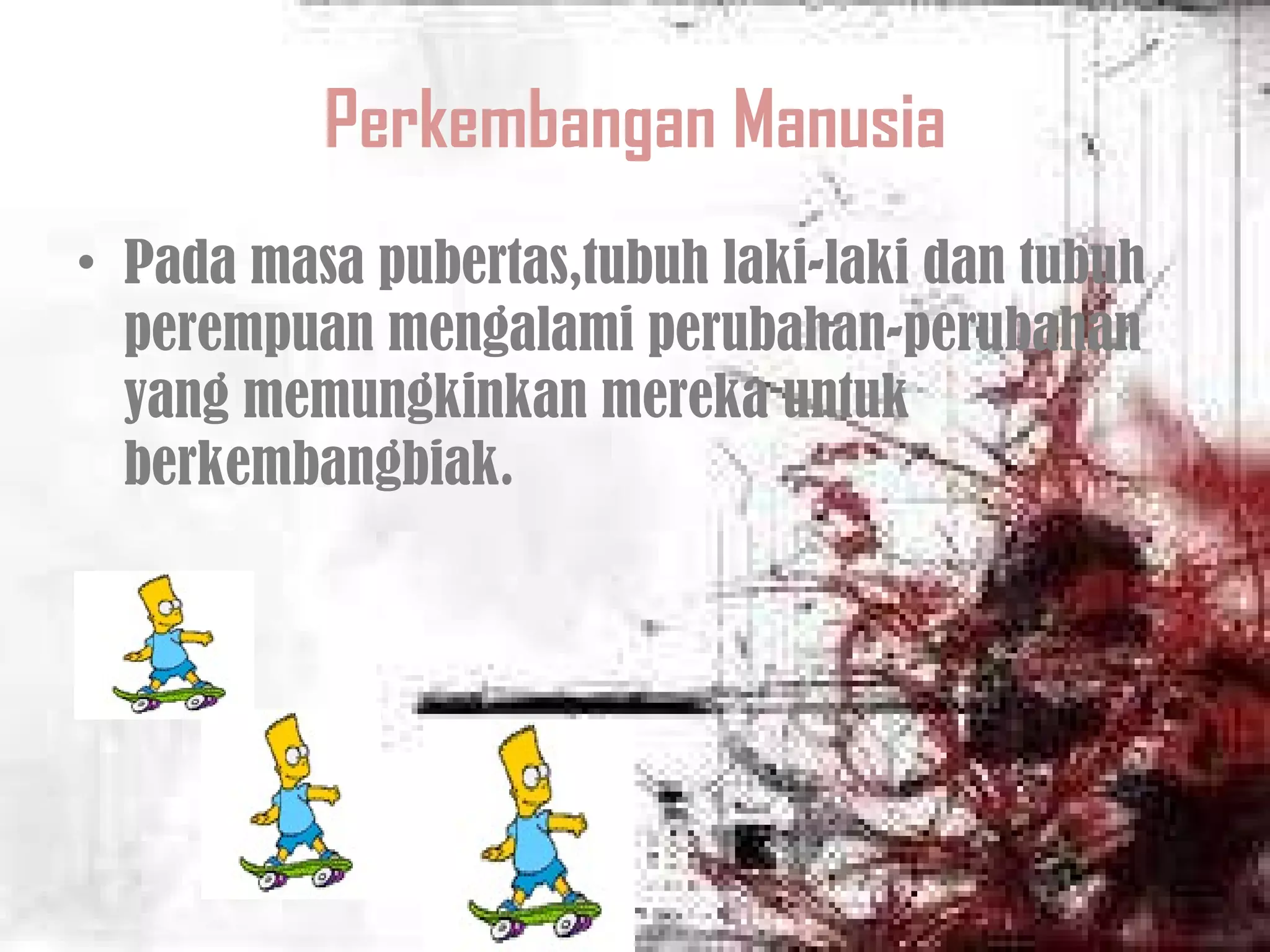 Perkembangan Manusia Pada masa pubertas,tubuh laki-laki dan tubuh perempuan mengalami perubahan-perubahan yang memungkinkan mereka untuk berkembangbiak. 