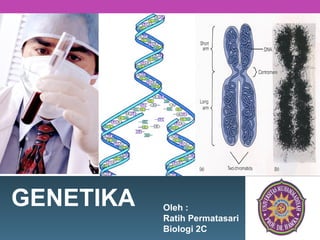 GENETIKA   Oleh :
           Ratih Permatasari
           Biologi 2C          L/O/G/O
 