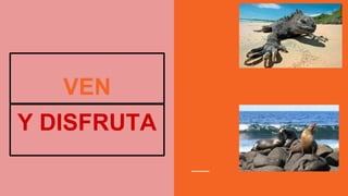 VEN
Y DISFRUTA
 