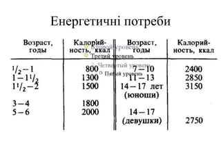Енергетичні потреби
 