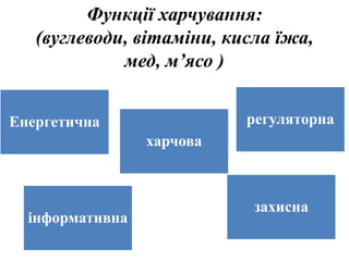 Функції харчування:
(вуглеводи, вітаміни, кисла їжа,
мед, м’ясо )
Енергетична
харчова
регуляторна
інформативна
захисна
 