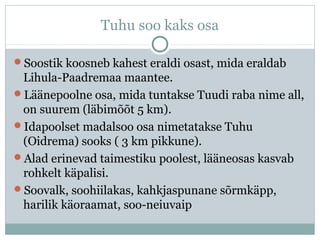 Tuhusoo | PPT