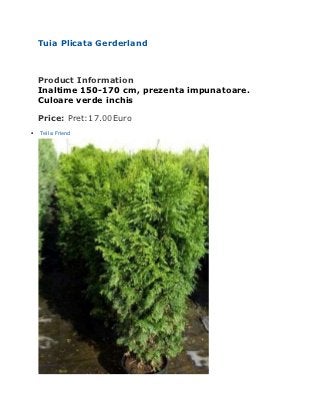 Tuia Plicata Gerderland



    Product Information
    Inaltime 150-170 cm, prezenta impunatoare.
    Culoare verde inchis

    Price: Pret:17.00Euro
   Tell a Friend
 