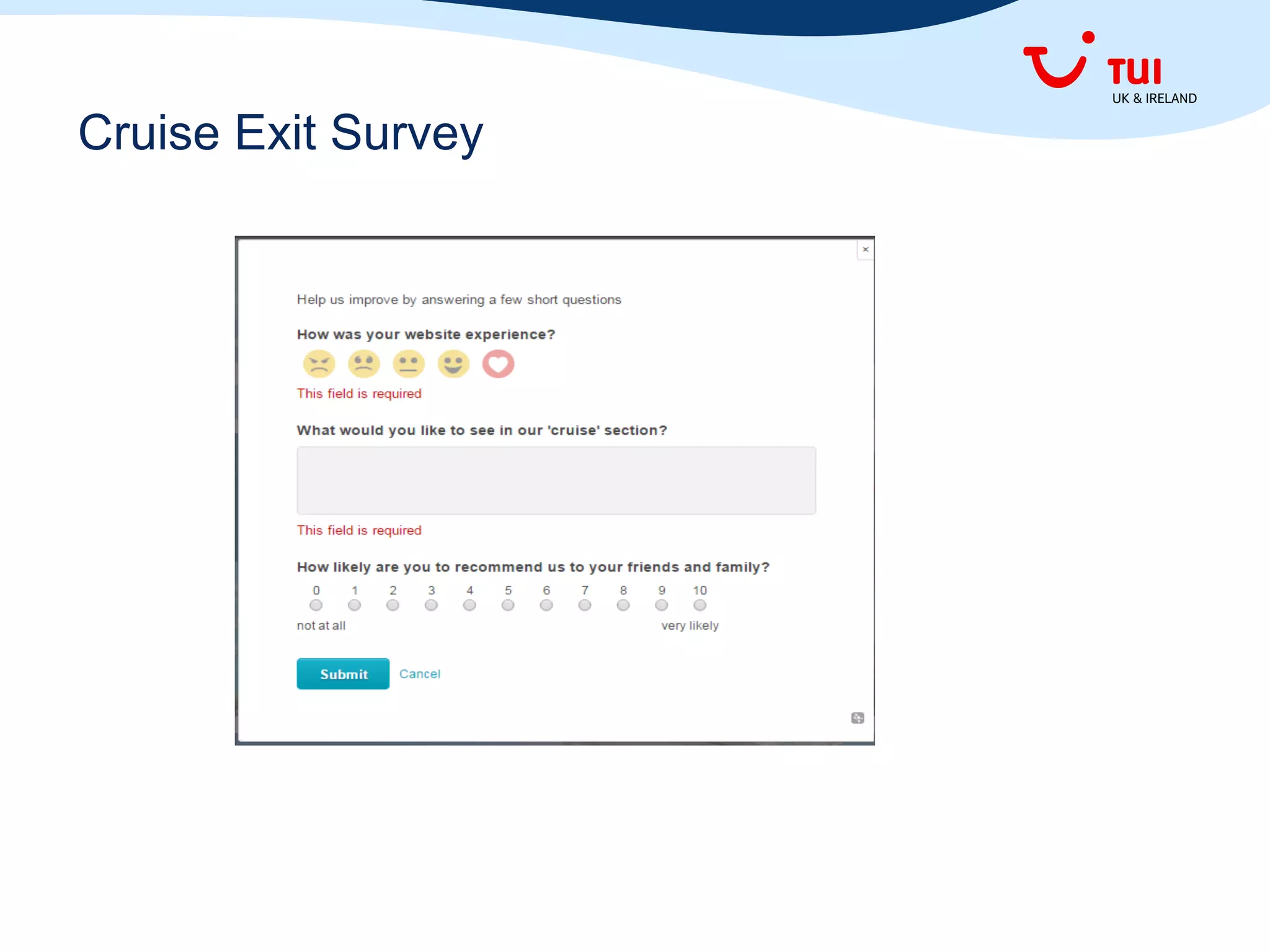 Cruise Exit Survey
 