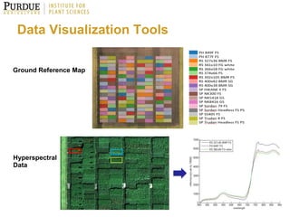 Next Generation Phenotyping Technologies in Breeding for Abiotic Stress ...