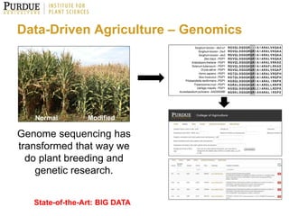 Next Generation Phenotyping Technologies in Breeding for Abiotic Stress ...