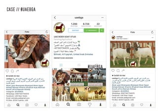 @UAEBGA
CASE // @UAEBGA
 