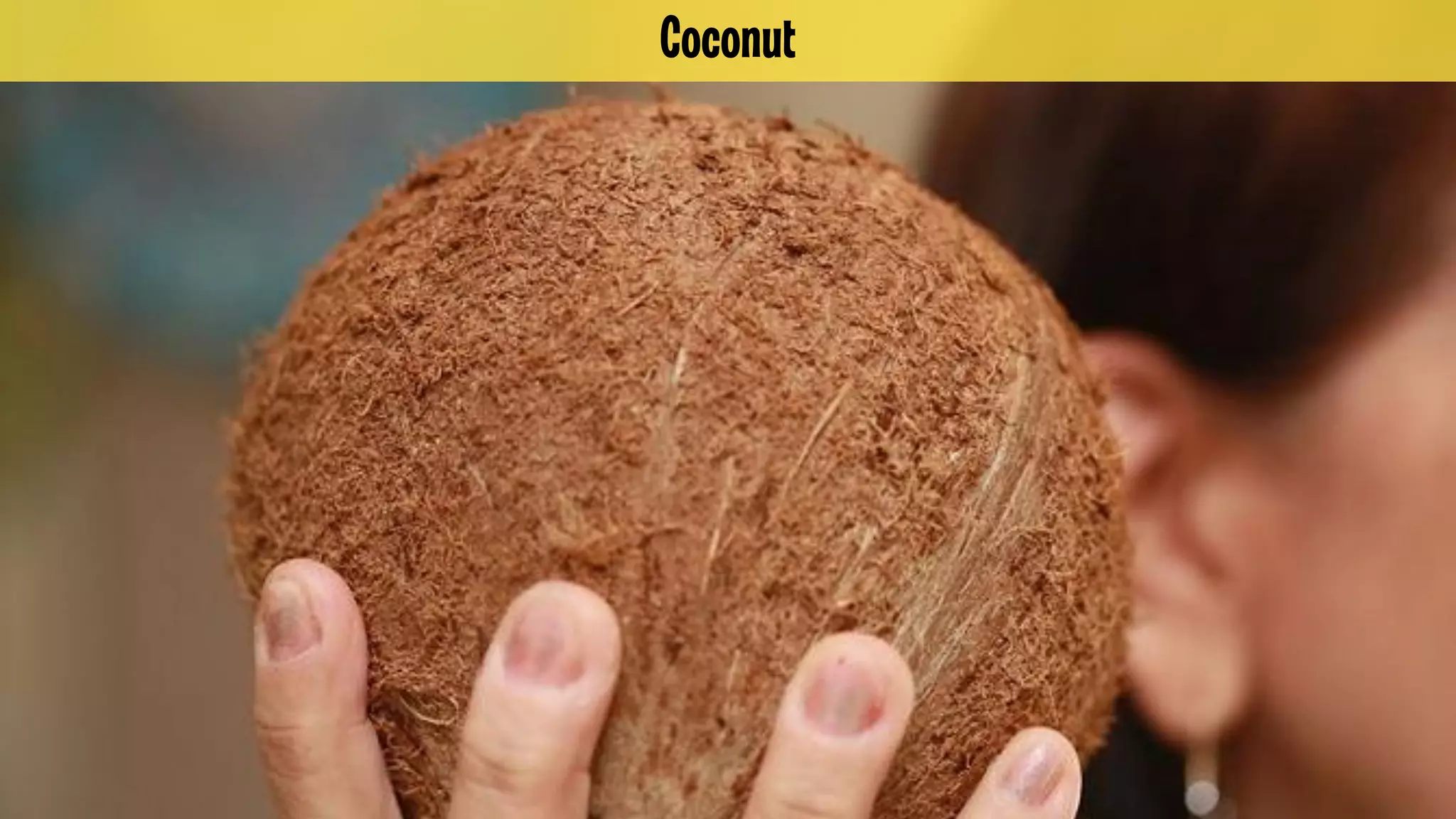 Coconut

 