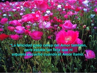  
""La felicidad pasó cerca del Amor también,La felicidad pasó cerca del Amor también,
pero estaba tan feliz que nipero estaba tan feliz que ni
siquiera escuchó cuando el Amor llamó.siquiera escuchó cuando el Amor llamó.
  
 