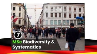 Norway visual data 2