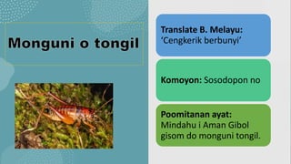 Tukaan Python Tukadan | PPTX