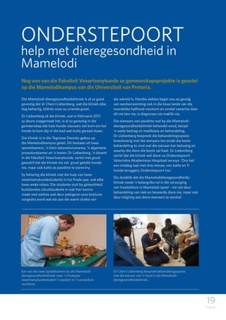 19
TUKKIE
Die Mamelodi-dieregesondheidskliniek is al so goed
gevestig dat dr Cherri Liebenberg, wat die kliniek elke
dag behartig, kliënte soos ou vriende groet.
Dr Liebenberg sê die kliniek, wat in Februarie 2011
sy deure oopgemaak het, is al so gevestig in die
gemeenskap dat baie honde-eienaars net kom om hul
honde te kom dip in die bad wat buite gereed staan.
Die kliniek is in die Tegniese Dienste-gebou op
die Mamelodikampus geleë. Dit bestaan uit twee
spreekkamers, ‘n klein laboratoriumarea, ‘n algemene
prosedurekamer en ‘n teater. Dr Liebenberg, ‘n dosent
in die Fakulteit Veeartsenykunde, vertel met groot
geesdrif dat die kliniek nie net groot getalle honde
nie, maar ook katte as pasiënte te siene kry.
Sy behartig die kliniek met die hulp van twee
veeartsenykundestudente in hul finale jaar, wat elke
twee weke roteer. Die studente sluit by geleentheid
buitelandse uitruilstudente in wat hier kennis
maak met siektes wat deur patogene soos bosluise
oorgedra word wat eie aan die warm streke van
die wêreld is. Hierdie siektes begin nou as gevolg
van aardverwarming ook in die koue lande van die
noordelike halfrond voorkom en omdat veeartse daar
dit nie ken nie, is diagnoses nie maklik nie.
Die eienaars van pasiënte wat by die Mamelodi-
dieregesondheidskliniek behandel word, betaal
‘n vaste bedrag vir medikasie en behandeling.
Dr Liebenberg bespreek die behandelingsopsies
breedvoerig met die eienaars ten einde die beste
behandeling te vind wat die eienaar kan bekostig en
waarby die diere die beste sal baat. Dr Liebenberg
vertel dat dié kliniek wel diere na Onderstepoort
Veterinêre Akademiese Hospitaal verwys: ‘Ons het
een middag laat met drie mense, vier katte en 11
honde teruggery Onderstepoort toe.’
Dis duidelik dat die Mamelodidieregesondheids-
kliniek reeds ‘n belangrike rol in die versorging
van troeteldiere in Mamelodi speel – nie net deur
behandeling van siek en beseerde diere nie, maar ook
deur inligting aan diere-eienaars te verskaf.
ONDERSTEPOORT
help met dieregesondheid in
Mamelodi
Nog een van die Fakulteit Veeartsenykunde se gemeenskapsprojekte is gesetel
op die Mamelodikampus van die Universiteit van Pretoria.
Een van die twee spreekkamers by die Mamelodi-
dieregesondheidskliniek waar ‘n finalejaar
veeartsenykundestudent ‘n pasiënt vir ‘n prosedure
voorberei.
Dr Cherri Liebenberg bespreek behandelingsopsies
met die eienaar van ‘n hond in die Mamelodi-
dieregesondheidskliniek.
 