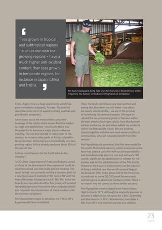 23
TUKKIE
China. Again, this is a huge opportunity which has
gone completely untapped,’ he says. Tea seed oil
resembles olive oil in its superb culinary qualities and
good health properties.
After water, tea is the most widely consumed
beverage in the world, which means that the market
is stable and established – and South Africa has
the potential to become a major player in the tea
industry. The soil and climate in many parts of the
country, as in many other parts of Africa, is ideal for
tea production. While being a comparatively new tea-
growing region, Africa already produces about 15% of
the world’s tea.
So how can it happen for the South African tea
industry?
‘In 2012 the Department of Trade and Industry asked
us if any of the tea research they sponsored could be
commercialised, and that really got me thinking. The
result is that I am currently writing a business plan for
a new tea research institute (TRI) here at UP with the
help of Business Enterprises at UP. The TRI, which we
hope to see operational within four years, will conduct
research to produce innovative value-added products
and help with the introduction of those products into
the commercial sphere.’
Prof Apostolides hopes to establish the TRI on UP’s
Experimental Farm in Hatfield.
‘Also, the land claims have now been settled and
seeing that the plants are still there – tea plants
are nearly indestructible – we are in the process
of revitalising the dormant estates. We hope to
rebuild the tea-processing plant in Tzaneen within
the next three to four years and to have the dormant
estates producing tea and value-added tea products
within the foreseeable future. We are working
closely together with the new land owners and local
communities, who will naturally benefit from this
venture.’
Prof Apostolides is convinced that this new model for
the South African tea industry, which incorporates the
best that science can offer with social responsibility
and sound business practice, can and will work. ‘Of
course, significant recapitalisation is needed for the
estates and for the establishment of the TRI, but its
impact on the country and economy can be massive.
In Kenya, which is now the world’s second largest
tea producer after India, about half of the total crop
is produced by some 50 000 small farmers each
cultivating tea on about one hectare of land. There is
no reason why we cannot achieve similar success.’
Prof Apostolides matriculated from Pretoria Boys
High School in 1972. Although he originally planned to
become a veterinarian, he opted for a BSc (Chemistry
and Biochemistry), MSc (Biochemistry) and later a
DSc from UP. He is married and has two children.
‘
‘
‘Teas grown in tropical
and subtropical regions
– such as our own tea-
growing regions – have a
much higher anti-oxidant
content than teas grown
in temperate regions, for
instance in Japan, China
and India.
Mr Rudy Maliepaard doing field work for the MSc in Biochemistry in the
Tingamira Tea Factory in the Eastern Highlands of Zimbabwe.
 