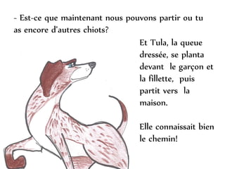 - Est-ce que maintenant nous pouvons partir ou tu
as encore d’autres chiots?
Et Tula, la queue
dressée, se planta
devant le garçon et
la fillette, puis
partit vers la
maison.
Elle connaissait bien
le chemin!
 