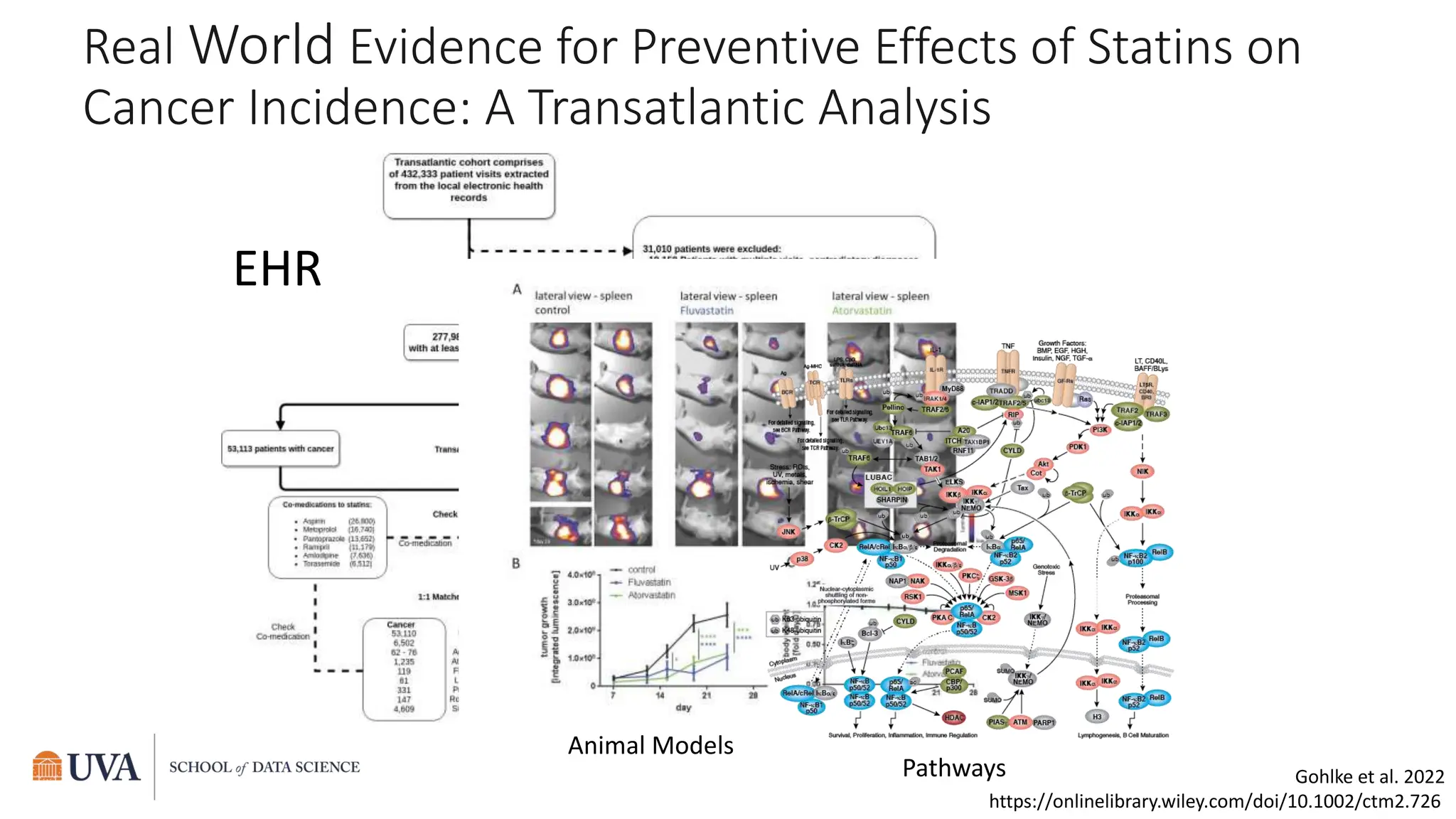 Gohlke et al. 2022
https://onlinelibrary.wiley.com/doi/10.1002/ctm2.726
Real World Evidence for Preventive Effects of Statins on
Cancer Incidence: A Transatlantic Analysis
EHR
Animal Models
Pathways
 