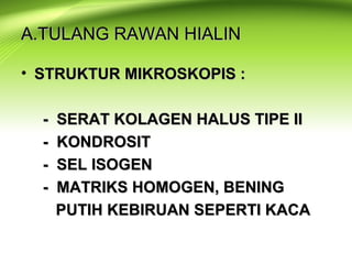 A.TULANG RAWAN HIALINA.TULANG RAWAN HIALIN
• STRUKTUR MIKROSKOPIS :STRUKTUR MIKROSKOPIS :
- SERAT KOLAGEN HALUS TIPE II- SERAT KOLAGEN HALUS TIPE II
- KONDROSIT- KONDROSIT
- SEL ISOGEN- SEL ISOGEN
- MATRIKS HOMOGEN, BENING- MATRIKS HOMOGEN, BENING
PUTIH KEBIRUAN SEPERTI KACAPUTIH KEBIRUAN SEPERTI KACA
 