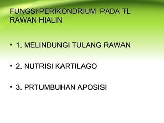 FUNGSI PERIKONDRIUM PADA TLFUNGSI PERIKONDRIUM PADA TL
RAWAN HIALINRAWAN HIALIN
• 1. MELINDUNGI TULANG RAWAN1. MELINDUNGI TULANG RAWAN
• 2. NUTRISI KARTILAGO2. NUTRISI KARTILAGO
• 3. PRTUMBUHAN APOSISI3. PRTUMBUHAN APOSISI
 