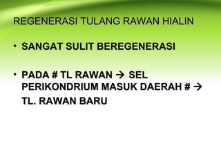REGENERASI TULANG RAWAN HIALINREGENERASI TULANG RAWAN HIALIN
• SANGAT SULIT BEREGENERASISANGAT SULIT BEREGENERASI
• PADA # TL RAWANPADA # TL RAWAN  SELSEL
PERIKONDRIUM MASUK DAERAH #PERIKONDRIUM MASUK DAERAH # 
TL. RAWAN BARUTL. RAWAN BARU
 