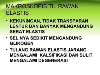 MAKROSKOPIS TL. RAWANMAKROSKOPIS TL. RAWAN
ELASTISELASTIS
• KEKUNINGAN, TIDAK TRANSPARANKEKUNINGAN, TIDAK TRANSPARAN
LENTUR DAN BANYAK MENGANDUNGLENTUR DAN BANYAK MENGANDUNG
SERAT ELASTISSERAT ELASTIS
• SEL NYA SEDIKIT MENGANDUNGSEL NYA SEDIKIT MENGANDUNG
GLIKOGENGLIKOGEN
• TULANG RAWAN ELASTIS JARANGTULANG RAWAN ELASTIS JARANG
MENGALAMI KALSIFIKASI DAN SULITMENGALAMI KALSIFIKASI DAN SULIT
MENGALAMI DEGENERASIMENGALAMI DEGENERASI
 