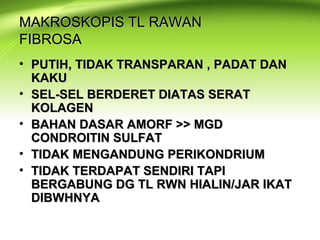 MAKROSKOPIS TL RAWANMAKROSKOPIS TL RAWAN
FIBROSAFIBROSA
• PUTIH, TIDAK TRANSPARAN , PADAT DANPUTIH, TIDAK TRANSPARAN , PADAT DAN
KAKUKAKU
• SEL-SEL BERDERET DIATAS SERATSEL-SEL BERDERET DIATAS SERAT
KOLAGENKOLAGEN
• BAHAN DASAR AMORF >> MGDBAHAN DASAR AMORF >> MGD
CONDROITIN SULFATCONDROITIN SULFAT
• TIDAK MENGANDUNG PERIKONDRIUMTIDAK MENGANDUNG PERIKONDRIUM
• TIDAK TERDAPAT SENDIRI TAPITIDAK TERDAPAT SENDIRI TAPI
BERGABUNG DG TL RWN HIALIN/JAR IKATBERGABUNG DG TL RWN HIALIN/JAR IKAT
DIBWHNYADIBWHNYA
 