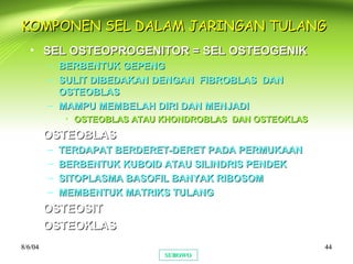 8/6/048/6/04 4444
KOMPONEN SEL DALAM JARINGAN TULANGKOMPONEN SEL DALAM JARINGAN TULANG
• SEL OSTEOPROGENITOR = SEL OSTEOGENIKSEL OSTEOPROGENITOR = SEL OSTEOGENIK
– BERBENTUK GEPENGBERBENTUK GEPENG
– SULIT DIBEDAKAN DENGAN FIBROBLAS DANSULIT DIBEDAKAN DENGAN FIBROBLAS DAN
OSTEOBLASOSTEOBLAS
– MAMPU MEMBELAH DIRI DAN MENJADIMAMPU MEMBELAH DIRI DAN MENJADI
• OSTEOBLAS ATAU KHONDROBLAS DAN OSTEOKLASOSTEOBLAS ATAU KHONDROBLAS DAN OSTEOKLAS
• OSTEOBLASOSTEOBLAS
– TERDAPAT BERDERET-DERET PADA PERMUKAANTERDAPAT BERDERET-DERET PADA PERMUKAAN
– BERBENTUK KUBOID ATAU SILINDRIS PENDEKBERBENTUK KUBOID ATAU SILINDRIS PENDEK
– SITOPLASMA BASOFIL BANYAK RIBOSOMSITOPLASMA BASOFIL BANYAK RIBOSOM
– MEMBENTUK MATRIKS TULANGMEMBENTUK MATRIKS TULANG
• OSTEOSITOSTEOSIT
• OSTEOKLASOSTEOKLAS
SUBOWOSUBOWO
 