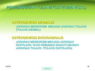 8/6/048/6/04 4646
PERTUMBUHAN TULANG (OSTEOGENESIS)PERTUMBUHAN TULANG (OSTEOGENESIS)
• OSTEOGENESIS DESMALISOSTEOGENESIS DESMALIS
– JARINGAN MESENKHIM MENJADI JARINGAN TULANGJARINGAN MESENKHIM MENJADI JARINGAN TULANG
(TULANG DESMAL)(TULANG DESMAL)
• OSTEOGENESIS ENCHONDRALISOSTEOGENESIS ENCHONDRALIS
– JARINGAN MESENKHIM MENJADI JARINGANJARINGAN MESENKHIM MENJADI JARINGAN
KARTILAGO YANG KEMUDIAN DIGANTI DENGANKARTILAGO YANG KEMUDIAN DIGANTI DENGAN
JARINGAN TULANG (TULANG KARTILAGO)JARINGAN TULANG (TULANG KARTILAGO)
SUBOWOSUBOWO
 