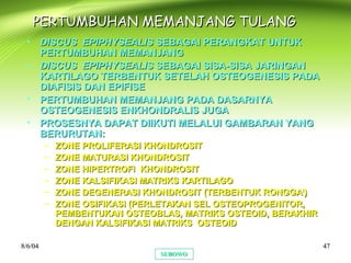 8/6/048/6/04 4747
PERTUMBUHAN MEMANJANG TULANGPERTUMBUHAN MEMANJANG TULANG
• DISCUS EPIPHYSEALISDISCUS EPIPHYSEALIS SEBAGAI PERANGKAT UNTUKSEBAGAI PERANGKAT UNTUK
PERTUMBUHAN MEMANJANGPERTUMBUHAN MEMANJANG
• DISCUS EPIPHYSEALISDISCUS EPIPHYSEALIS SEBAGAI SISA-SISA JARINGANSEBAGAI SISA-SISA JARINGAN
KARTILAGO TERBENTUK SETELAH OSTEOGENESIS PADAKARTILAGO TERBENTUK SETELAH OSTEOGENESIS PADA
DIAFISIS DAN EPIFISEDIAFISIS DAN EPIFISE
• PERTUMBUHAN MEMANJANG PADA DASARNYAPERTUMBUHAN MEMANJANG PADA DASARNYA
OSTEOGENESIS ENKHONDRALIS JUGAOSTEOGENESIS ENKHONDRALIS JUGA
• PROSESNYA DAPAT DIIKUTI MELALUI GAMBARAN YANGPROSESNYA DAPAT DIIKUTI MELALUI GAMBARAN YANG
BERURUTAN:BERURUTAN:
– ZONE PROLIFERASI KHONDROSITZONE PROLIFERASI KHONDROSIT
– ZONE MATURASI KHONDROSITZONE MATURASI KHONDROSIT
– ZONE HIPERTROFI KHONDROSITZONE HIPERTROFI KHONDROSIT
– ZONE KALSIFIKASI MATRIKS KARTILAGOZONE KALSIFIKASI MATRIKS KARTILAGO
– ZONE DEGENERASI KHONDROSIT (TERBENTUK RONGGAZONE DEGENERASI KHONDROSIT (TERBENTUK RONGGA22
))
– ZONE OSIFIKASI (PERLETAKAN SEL OSTEOPROGENITOR,ZONE OSIFIKASI (PERLETAKAN SEL OSTEOPROGENITOR,
PEMBENTUKAN OSTEOBLAS, MATRIKS OSTEOID, BERAKHIRPEMBENTUKAN OSTEOBLAS, MATRIKS OSTEOID, BERAKHIR
DENGAN KALSIFIKASI MATRIKS OSTEOIDDENGAN KALSIFIKASI MATRIKS OSTEOID
SUBOWOSUBOWO
 