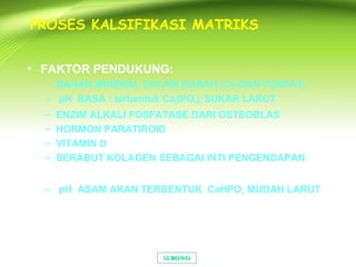 PROSES KALSIFIKASI MATRIKS
• FAKTOR PENDUKUNG:
– BAHAN MINERAL DALAM DARAH (Ca DAN FOSFAT)
– pH BASA : terbentuk Ca3(PO4)2 SUKAR LARUT
– ENZIM ALKALI FOSFATASE DARI OSTEOBLAS
– HORMON PARATIROID
– VITAMIN D
– SERABUT KOLAGEN SEBAGAI INTI PENGENDAPAN
• FAKTOR PENGHAMBAT
– pH ASAM AKAN TERBENTUK CaHPO4 MUDAH LARUT
SUBOWOSUBOWO
 