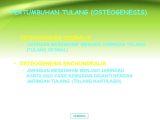 PERTUMBUHAN TULANG (OSTEOGENESIS)
• OSTEOGENESIS DESMALIS
– JARINGAN MESENKHIM MENJADI JARINGAN TULANG
(TULANG DESMAL)
• OSTEOGENESIS ENCHONDRALIS
– JARINGAN MESENKHIM MENJADI JARINGAN
KARTILAGO YANG KEMUDIAN DIGANTI DENGAN
JARINGAN TULANG (TULANG KARTILAGO)
SUBOWOSUBOWO
 