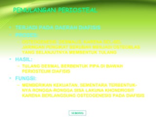 PENULANGAN PERIOSTEAL
• TERJADI PADA DAERAH DIAFISIS
• PROSES:
– OSTEOGENESIS DESMALIS, KARENA SEL-SEL
JARINGAN PENGIKAT BERUBAH MENJADI OSTEOBLAS
YANG SELANJUTNYA MEMBENTUK TULANG
• HASIL:
– TULANG DESMAL BERBENTUK PIPA DI BAWAH
PERIOSTEUM DIAFISIS
• FUNGSI:
– MEMBERIKAN KEKUATAN, SEMENTARA TERBENTUK-
NYA RONGGA-RONGGA SISA LAKUNA KHONDROSIT
KARENA BERLANGSUNG OSTEOGENESIS PADA DIAFISIS
SUBOWOSUBOWO
 