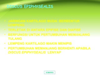 DISCUS EPIPHYSEALIS
• JARINGAN KARTILAGO MUDA BERBENTUK
LEMPENG
• TERLETAK DI ANTARA EPIFISE DAN DIAFISE
• BERFUNGSI UNTUK PERTUMBUHAN MEMANJANG
TULANG
• LEMPENG KARTILAGO MAKIN MENIPIS
• PERTUMBUHAN MEMANJANG BERHENTI APABILA
DISCUS EPIPHYSEALIS LENYAP
SUBOWOSUBOWO
 