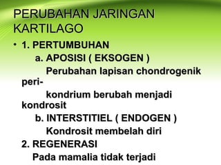 PERUBAHAN JARINGANPERUBAHAN JARINGAN
KARTILAGOKARTILAGO
• 1. PERTUMBUHAN1. PERTUMBUHAN
a. APOSISI ( EKSOGEN )a. APOSISI ( EKSOGEN )
Perubahan lapisan chondrogenikPerubahan lapisan chondrogenik
peri-peri-
kondrium berubah menjadikondrium berubah menjadi
kondrositkondrosit
b. INTERSTITIEL ( ENDOGEN )b. INTERSTITIEL ( ENDOGEN )
Kondrosit membelah diriKondrosit membelah diri
2. REGENERASI2. REGENERASI
Pada mamalia tidak terjadiPada mamalia tidak terjadi
 