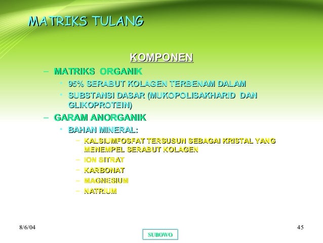 Tulang rawan power point baru