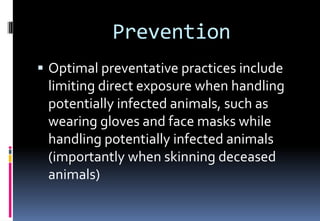 Prevention
 Optimal preventative practices include
limiting direct exposure when handling
potentially infected animals, such as
wearing gloves and face masks while
handling potentially infected animals
(importantly when skinning deceased
animals)
 