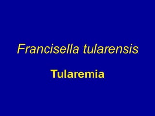 Francisella tularensis
Tularemia
 