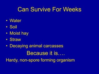 Can Survive For Weeks
• Water
• Soil
• Moist hay
• Straw
• Decaying animal carcasses
Because it is….
Hardy, non-spore form...
