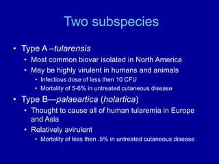 Two subspecies
• Type A –tularensis
• Most common biovar isolated in North America
• May be highly virulent in humans and ...