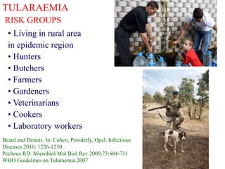 TULARAEMIA
RISK GROUPS
• Living in rural area
in epidemic region
• Hunters
• Butchers
• Farmers
• Gardeners
• Veterinarians
• Cookers
• Laboratory workers
Beard and Dennis. In: Cohen, Powderly, Opal. Infectious
Diseases 2010: 1226-1230
Pechous RD. Microbiol Mol Biol Rev 2009;73:684-711
WHO Guidelines on Tularaemia 2007
 