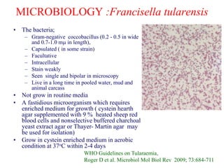 MICROBIOLOGY :Francisella tularensis
• The bacteria;
– Gram-negative coccobacillus (0.2 - 0.5 in wide
and 0.7-1.0 mm in length),
– Capsulated ( in some strain)
– Facultative
– Intracellular
– Stain weakly
– Seen single and bipolar in microscopy
– Live in a long time in pooled water, mud and
animal carcass
• Not grow in routine media
• A fastidious microorganism which requires
enriched medium for growth ( cystein hearth
agar supplemented with 9 % heated sheep red
blood cells and nonselective buffered charchoal
yeast extract agar or Thayer- Martin agar may
be used for isolation)
• Grow in cystein enriched medium in aerobic
condition at 37oC within 2-4 days
WHO Guidelines on Tularaemia,
Roger D et al. Microbiol Mol Biol Rev 2009; 73:684-711
 