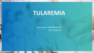 TULAREMIA
Presented by : NUMAN ASHRAF
2021-DVMJ-045
 