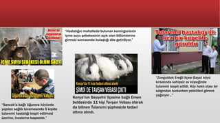 “Hastalığın mahallede bulunan kemirgenlerin
içme suyu şebekesinin açık olan bölümlerine
girmesi sonrasında bulaştığı dile getiriliyor.”
“Zonguldak Ereğli ilçesi Bayat köyü
kırsalında sahipsiz av köpeğinde
tularemi tespit edildi. Köy haklı olası bir
salgından korkarken yetkilileri göreve
çağırıyor…”
“Sancak'a bağlı Uğurova köyünde
yapılan sağlık taramasında 5 kişide
tularemi hastalığı tespit edilmesi
üzerine, inceleme başlatıldı.”
Konya'nın Beyşehir ilçesine bağlı Emen
beldesinde 11 kişi Tavşan Vebası olarak
da bilinen Tularemi şüphesiyle tedavi
altına alındı.
 