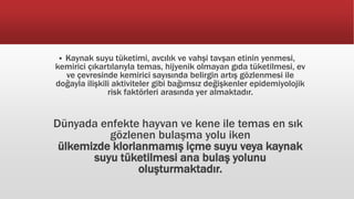  Kaynak suyu tüketimi, avcılık ve vahşi tavşan etinin yenmesi,
kemirici çıkartılarıyla temas, hijyenik olmayan gıda tüketilmesi, ev
ve çevresinde kemirici sayısında belirgin artış gözlenmesi ile
doğayla ilişkili aktiviteler gibi bağımsız değişkenler epidemiyolojik
risk faktörleri arasında yer almaktadır.
Dünyada enfekte hayvan ve kene ile temas en sık
gözlenen bulaşma yolu iken
ülkemizde klorlanmamış içme suyu veya kaynak
suyu tüketilmesi ana bulaş yolunu
oluşturmaktadır.
 