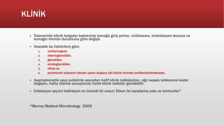 KLİNİK
 Tularemide klinik bulgular bakterinin konağa giriş yerine, virülansına, inokülasyon dozuna ve
konağın immün durumuna göre değişir.
 Hastalık bu faktörlere göre
1. orofarengeal,
2. ülseroglandüler,
3. glandüler,
4. oküloglandüler,
5. tifoid ve
6. pnömonik tularemi olmak üzere başlıca altı klinik formda sınıflandırılmaktadır.
 Asemptomatik veya subklinik seyreden hafif klinik tablolardan, ağır sepsis tablosuna kadar
değişen, hatta ölümle sonuçlanan farklı klinik tablolar görülebilir.
 İnfeksiyon seyrini belirleyen en önemli iki unsur: Etken ile karşılama yolu ve immunite*
*Murray Medical Microbiology 2009
 