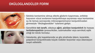 OKÜLOGLANDÜLER FORM
 Sıklıkla kontamine olmuş ellerle gözlerin kaşınması, enfekte
hayvanın vücut sıvılarının konjunktivaya sıçraması veya kontamine
su ile temas sonrasında mikroorganizmanın konjunktivadan
girmesiyle “Oküloglandüler” tularemi gelişir.
 Genellikle tek taraflı, oldukça ağrılı, pürülan konjunktivit ile hassas
lenfodenopatinin (preauriküler, submaksiller veya servikal) eşlik
ettiği bir klinik formdur.
 Vakalarda, göz kapaklarında ve göz etrafında ödem, kızarıklık,
palpebral konjunktivada küçük nodüler lezyonlar veya ülserasyon
tespit edilebilir.
 