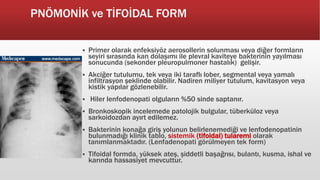 PNÖMONİK ve TİFOİDAL FORM
 Primer olarak enfeksiyöz aerosollerin solunması veya diğer formların
seyiri sırasında kan dolaşımı ile plevral kaviteye bakterinin yayılması
sonucunda (sekonder pleuropulmoner hastalık) gelişir.
 Akciğer tutulumu, tek veya iki taraflı lober, segmental veya yamalı
infiltrasyon şeklinde olabilir. Nadiren miliyer tutulum, kavitasyon veya
kistik yapılar gözlenebilir.
 Hiler lenfodenopati olguların %50 sinde saptanır.
 Bronkoskopik incelemede patolojik bulgular, tüberküloz veya
sarkoidozdan ayırt edilemez.
 Bakterinin konağa giriş yolunun belirlenemediği ve lenfodenopatinin
bulunmadığı klinik tablo, sistemik (tifoidal) tularemi olarak
tanımlanmaktadır. (Lenfadenopati görülmeyen tek form)
 Tifoidal formda, yüksek ateş, şiddetli başağrısı, bulantı, kusma, ishal ve
karında hassasiyet mevcuttur.
 