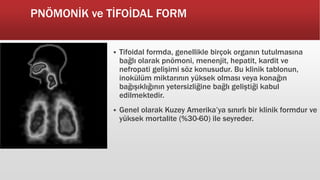 PNÖMONİK ve TİFOİDAL FORM
 Tifoidal formda, genellikle birçok organın tutulmasına
bağlı olarak pnömoni, menenjit, hepatit, kardit ve
nefropati gelişimi söz konusudur. Bu klinik tablonun,
inokülüm miktarının yüksek olması veya konağın
bağışıklığının yetersizliğine bağlı geliştiği kabul
edilmektedir.
 Genel olarak Kuzey Amerika’ya sınırlı bir klinik formdur ve
yüksek mortalite (%30-60) ile seyreder.
 
