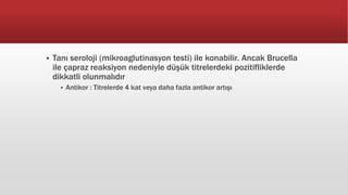  Tanı seroloji (mikroaglutinasyon testi) ile konabilir. Ancak Brucella
ile çapraz reaksiyon nedeniyle düşük titrelerdeki pozitifliklerde
dikkatli olunmalıdır
 Antikor : Titrelerde 4 kat veya daha fazla antikor artışı
 