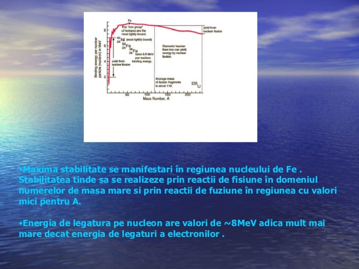 Tulbure Adina Si Chereji Andreea A Xii A A Fizica Nucleului