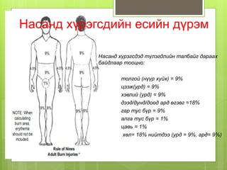 Насанд хүрэгсдийн есийн дүрэм
Насанд хүрэгсдэд түлэгдлийн талбайг дараах
байдлаар тооцно:
толгой (нүүр хуйх) = 9%
цээж(урд) = 9%
хэвлий (урд) = 9%
дээд/дунд/доод ард өгзөг =18%
гар тус бүр = 9%
алга тус бүр = 1%
цавь = 1%
хөл= 18% нийтдээ (урд = 9%, ард= 9%)
 